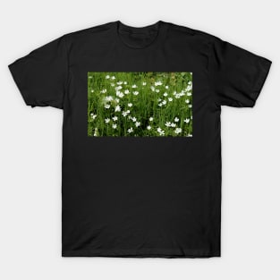 Wild Anemones T-Shirt